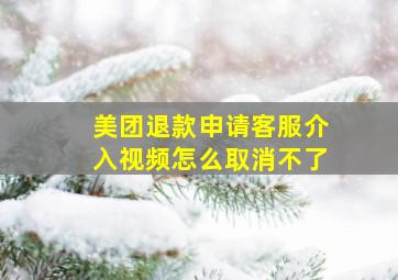 美团退款申请客服介入视频怎么取消不了