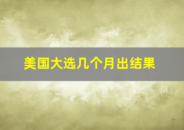 美国大选几个月出结果