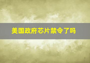 美国政府芯片禁令了吗