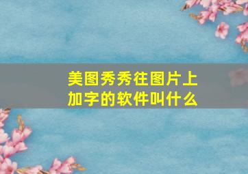 美图秀秀往图片上加字的软件叫什么