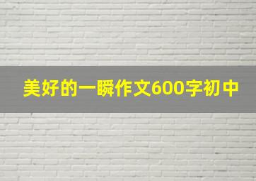 美好的一瞬作文600字初中