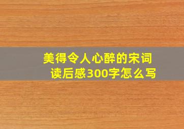 美得令人心醉的宋词读后感300字怎么写