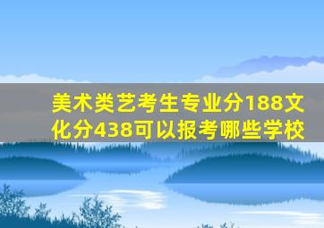 美术类艺考生专业分188文化分438可以报考哪些学校