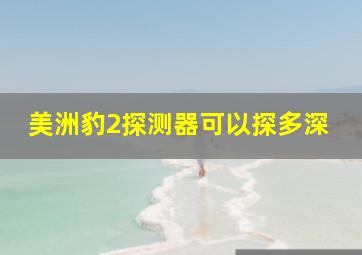 美洲豹2探测器可以探多深