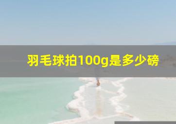 羽毛球拍100g是多少磅