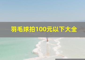 羽毛球拍100元以下大全