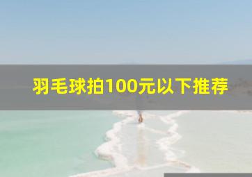 羽毛球拍100元以下推荐