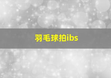 羽毛球拍ibs