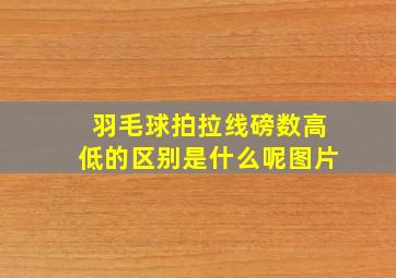 羽毛球拍拉线磅数高低的区别是什么呢图片