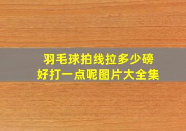 羽毛球拍线拉多少磅好打一点呢图片大全集