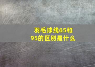 羽毛球线65和95的区别是什么