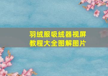 羽绒服吸绒器视屏教程大全图解图片