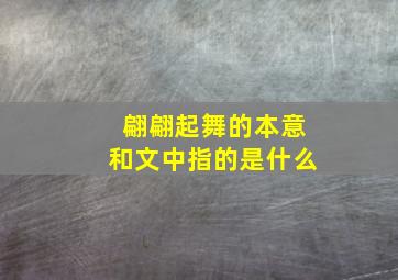 翩翩起舞的本意和文中指的是什么