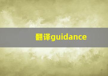 翻译guidance