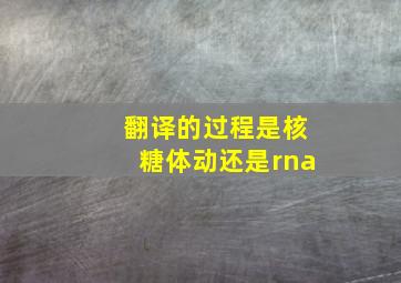 翻译的过程是核糖体动还是rna