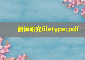 翻译研究filetype:pdf