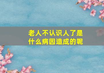 老人不认识人了是什么病因造成的呢