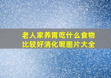 老人家养胃吃什么食物比较好消化呢图片大全