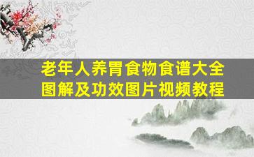 老年人养胃食物食谱大全图解及功效图片视频教程