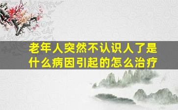 老年人突然不认识人了是什么病因引起的怎么治疗