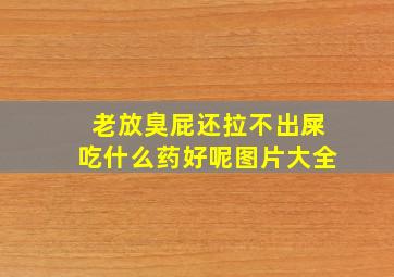 老放臭屁还拉不出屎吃什么药好呢图片大全