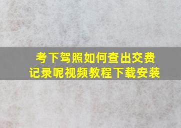 考下驾照如何查出交费记录呢视频教程下载安装