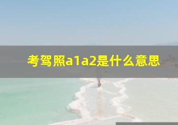 考驾照a1a2是什么意思