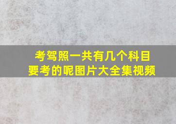 考驾照一共有几个科目要考的呢图片大全集视频