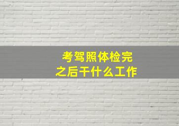 考驾照体检完之后干什么工作