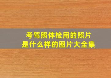 考驾照体检用的照片是什么样的图片大全集