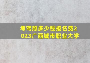 考驾照多少钱报名费2023广西城市职业大学