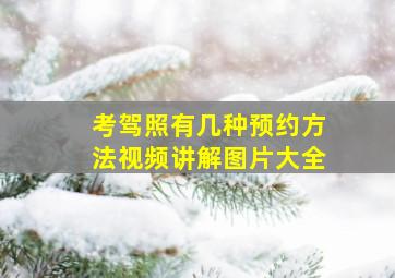 考驾照有几种预约方法视频讲解图片大全