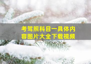 考驾照科目一具体内容图片大全下载视频