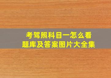 考驾照科目一怎么看题库及答案图片大全集