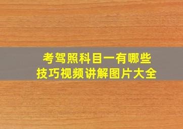 考驾照科目一有哪些技巧视频讲解图片大全