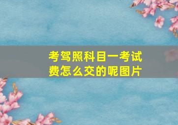 考驾照科目一考试费怎么交的呢图片