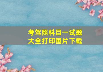 考驾照科目一试题大全打印图片下载