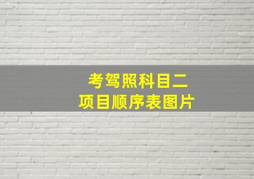 考驾照科目二项目顺序表图片