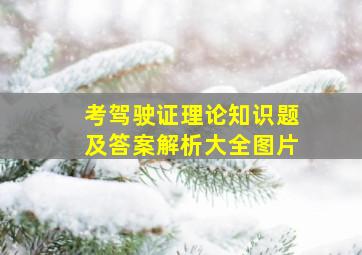 考驾驶证理论知识题及答案解析大全图片