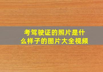 考驾驶证的照片是什么样子的图片大全视频