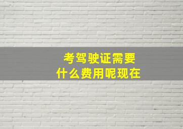 考驾驶证需要什么费用呢现在