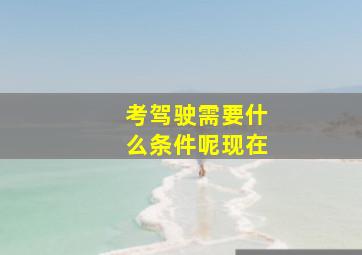 考驾驶需要什么条件呢现在