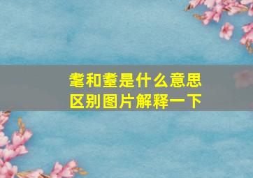 耄和耋是什么意思区别图片解释一下