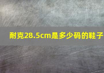 耐克28.5cm是多少码的鞋子