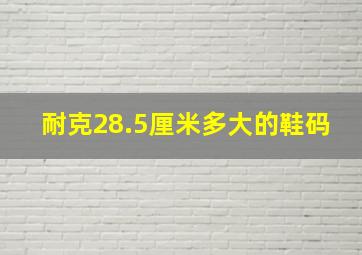 耐克28.5厘米多大的鞋码