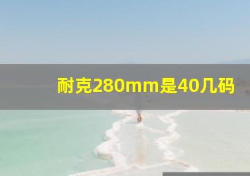 耐克280mm是40几码