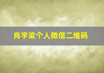 肖宇梁个人微信二维码