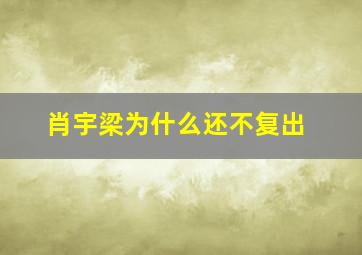 肖宇梁为什么还不复出