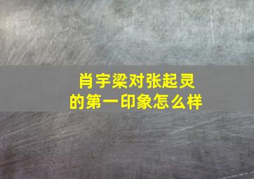 肖宇梁对张起灵的第一印象怎么样