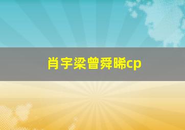 肖宇梁曾舜晞cp